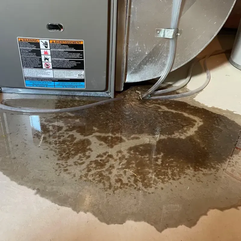 Appliance Leak Cleanup in Kansas City, KS